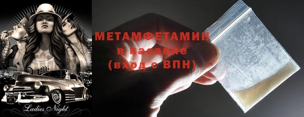 гидра Горняк