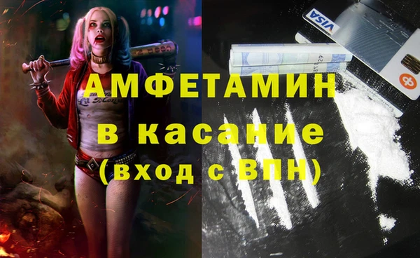 гидра Горняк