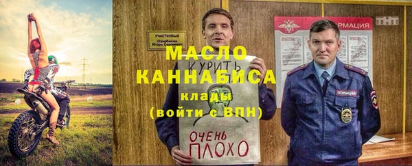 гидра Горняк