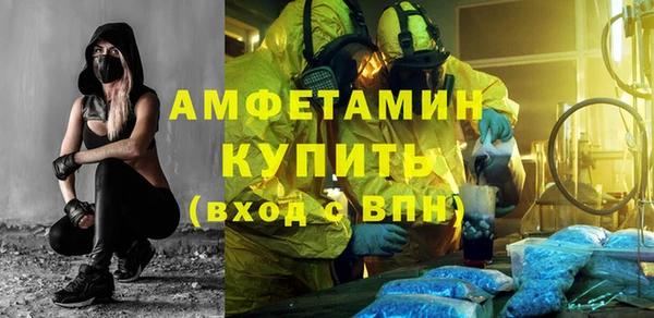 гидра Горняк