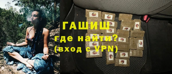 гидра Горняк