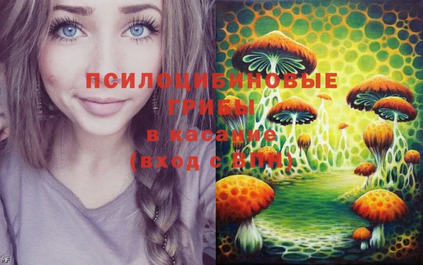 гашик Горнозаводск
