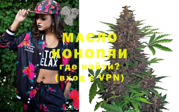 гидра Горняк