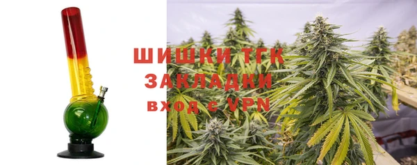 гидра Горняк