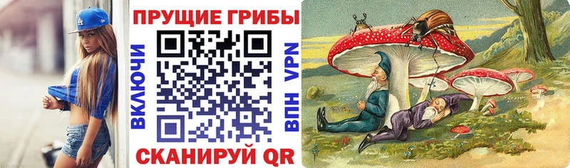 Галлюциногенные грибы Cubensis  дарнет шоп  Дигора 