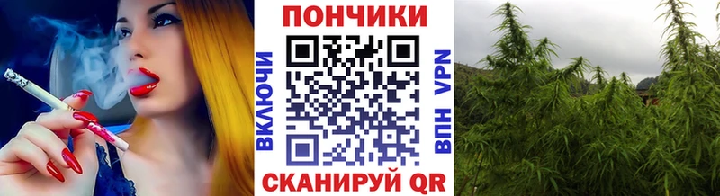 дарнет шоп  Дигора  Каннабис гибрид 